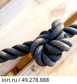 cord rope nautical cable like strong connection concept background . Стоковое фото, агентство Ingram Publishing / Фотобанк Лори