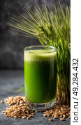 Refreshing Green Drink Close to Fresh Wheatgrass and Healthy Grains on a Gray Background. Стоковое AI-изображение, AI-художник Юлия Гапеенко / Фотобанк Лори