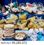 full in market old table shell and sealife in sale. Стоковое фото, агентство Ingram Publishing / Фотобанк Лори
