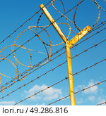 and cloudy sky in oman barbwire in the background . Стоковое фото, агентство Ingram Publishing / Фотобанк Лори