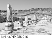  old   construction in asia turkey the column  and the roman temple . Стоковое фото, агентство Ingram Publishing / Фотобанк Лори