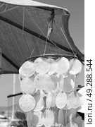 full in market old table shell and sealife in sale chandelier. Стоковое фото, агентство Ingram Publishing / Фотобанк Лори