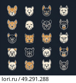 A collection of multiple dog heads captured against a black backdrop, showcasing different breeds and expressions. Стоковое AI-изображение, AI-художник Данила Большаков / Фотобанк Лори