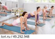 Women practicing in yoga class, focusing on flexibility and relaxation in calm studio setting. Стоковое фото, фотограф Яков Филимонов / Фотобанк Лори