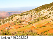 dades valley in atlas moroco africa ground tree  and nobody. Стоковое фото, агентство Ingram Publishing / Фотобанк Лори