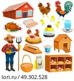 Poultry Farm Elements Set . Poultry farm elements set with owner  birds barn coop roost chicken meat and eggs isolated vector illustration. Стоковая иллюстрация, агентство Ingram Publishing / Фотобанк Лори