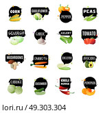 Vegetables With Labels Set. Vegetables label set with sixteen isolated garden produced green grocery polygonal images and appropriate naming tags vector illustration. Стоковая иллюстрация, агентство Ingram Publishing / Фотобанк Лори