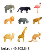 Southern Wild Animals Polygonal Icons Set. Southern wild animals polygonal icons set with giraffe kangaroo lion camel and pink flamingo isolated vector illustration . Стоковая иллюстрация, агентство Ingram Publishing / Фотобанк Лори