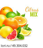 Citrus Fruits Mix Realistic Background Poster. Fresh delicious natural looking citrus fruits collection background poster with lemon blood orange and lime vector illustration . Стоковая иллюстрация, агентство Ingram Publishing / Фотобанк Лори