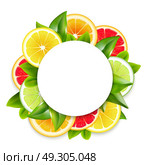 Citrus Fruits Slices Arrangement Round Frame . Freshly cut citrus fruits slices and leaves circle ornamental round frame arrangement colorful natural realistic vector illustration. Стоковая иллюстрация, агентство Ingram Publishing / Фотобанк Лори