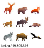 Northern Wild Animals Polygonal Icons Set . Wild northern animals 3d colorful polygonal icons set with wolf fox bear and eagle isolated vector illustration . Стоковая иллюстрация, агентство Ingram Publishing / Фотобанк Лори