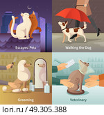 Pet Shop Concept Icons Set. Pet shop concept icons set with grooming symbols flat isolated vector illustration . Стоковая иллюстрация, агентство Ingram Publishing / Фотобанк Лори