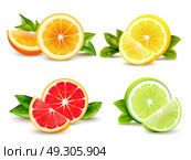 Citrus Fruits  Segments 4 Realistic Icons . Citrus fruits halves and quarter wedges 4 realistic icons square with orange grapefruit lemon isolated vector illustration . Стоковая иллюстрация, агентство Ingram Publishing / Фотобанк Лори