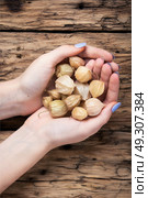 handful physalis of hands. autumn harvest physalis in the palms on a retro background. Стоковое фото, агентство Ingram Publishing / Фотобанк Лори