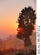 Foggy morning. Misty rural hills. Foggy autumn sunrise in mountains. Стоковое фото, агентство Ingram Publishing / Фотобанк Лори