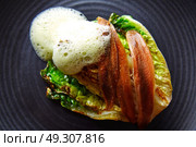 Cantabrian anchovies with endive and vinaigrette air foam. Стоковое фото, агентство Ingram Publishing / Фотобанк Лори