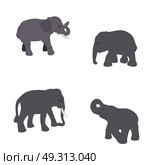 Set of Elephant Isolated on White Background.. Set of Elephant Isolated on White Background. Eps10. Стоковая иллюстрация, агентство Ingram Publishing / Фотобанк Лори