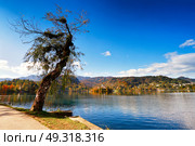 Colorful autumn day on Bled lake, Slovenia. Amazing View On Bled Lake With Mountain Range. Slovenia, Europe. Стоковое фото, агентство Ingram Publishing / Фотобанк Лори