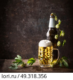 Glass bottles and mug of beer with cap of foam and hops on table at dark rustic background, front view, Still life , close up. Стоковое фото, агентство Ingram Publishing / Фотобанк Лори