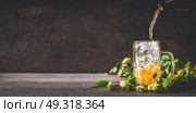 Beer is poured into mug  on dark rustic wooden background with hops, front view, copy space, banner. Стоковое фото, агентство Ingram Publishing / Фотобанк Лори