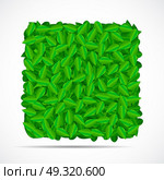 Natural Green Leaves Background. Vector Illustration EPS10. Natural Green Leaves Background. Vector Illustration. Стоковая иллюстрация, агентство Ingram Publishing / Фотобанк Лори