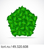 Natural Green Leaves Background. Vector Illustration EPS10. Natural Green Leaves Background. Vector Illustration. Стоковая иллюстрация, агентство Ingram Publishing / Фотобанк Лори