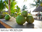 Mayan Riviera coconuts for drink in Caribbean Mexico. Стоковое фото, агентство Ingram Publishing / Фотобанк Лори