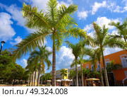 Cozumel island houses Plaza Punta Langosta in Mexico Mayan riviera. Стоковое фото, агентство Ingram Publishing / Фотобанк Лори