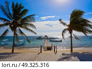 Puerto Morelos beach in Riviera Maya at Mayan Mexico. Стоковое фото, агентство Ingram Publishing / Фотобанк Лори