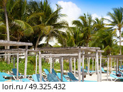 Akumal beach gazebos in Riviera Maya of Mayan Mexico. Стоковое фото, агентство Ingram Publishing / Фотобанк Лори