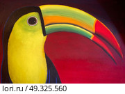 Tucan bird draw from Mayan Riviera in Mexico. Стоковое фото, агентство Ingram Publishing / Фотобанк Лори