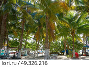 Isla Mujeres island Caribbean beach of Riviera Maya in Mexico. Стоковое фото, агентство Ingram Publishing / Фотобанк Лори