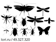 Silhouettes Set of Beetles, Dragonflies and Butterflies Vector Illustration EPS10. Silhouettes Set of Beetles, Dragonflies and Butterflies. Стоковая иллюстрация, агентство Ingram Publishing / Фотобанк Лори