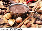 Delicious melted chocolates and spices. Cup with melted hot chocolate, cocoa beans, nuts and spices. Стоковое фото, агентство Ingram Publishing / Фотобанк Лори