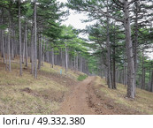 Прогулка по тропе Палласа. Крым. Редакционное фото, фотограф Татьяна Т / Фотобанк Лори