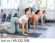 Group of women doing stretching in studio. Стоковое фото, фотограф Яков Филимонов / Фотобанк Лори