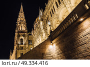 The Hungarian Parliament in Budapest on the Danube in the night lights of the street lamps. Стоковое фото, агентство Ingram Publishing / Фотобанк Лори