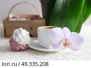 marshmallows handmade white and pink in a tray made of wicker, lace. Стоковое фото, агентство Ingram Publishing / Фотобанк Лори