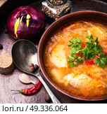 Ukrainian national food-borshch. Traditional food of national Ukrainian cuisine. Borscht with meat and vegetables. Стоковое фото, агентство Ingram Publishing / Фотобанк Лори