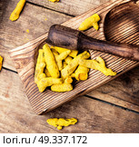 spice root Curcuma. Root of the turmeric plant in a wooden mortar. Стоковое фото, агентство Ingram Publishing / Фотобанк Лори