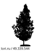Black and White Silhouette of Deciduous Tree, whose branches develop in the wind. Vector Illustration. EPS10. Black and White Silhouette of Deciduous Tree, whose branches dev. Стоковая иллюстрация, агентство Ingram Publishing / Фотобанк Лори