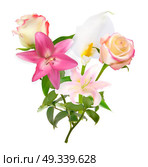 Vector Illustration with Pink Lily, Calla and Roses Isolated on White Background EPS10. Vector Illustration with Pink Lily, Calla and Roses Isolated on White Background. Стоковая иллюстрация, агентство Ingram Publishing / Фотобанк Лори