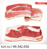 Bacon. Fresh meat, 3d realistic vector icon set. Стоковая иллюстрация, агентство Ingram Publishing / Фотобанк Лори