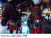 The old square of the night krakow with luminous horse-drawn carriages. Стоковое фото, агентство Ingram Publishing / Фотобанк Лори