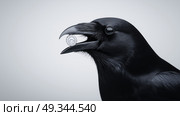 Black raven holding a sparkling diamond in its beak against a light background. Стоковое AI-изображение, AI-художник Katsiaryna Repich / Фотобанк Лори