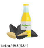 Sunflower Oil Vector Illustration in Flat Design. Sunflower oil and seeds vector. Flat design. Healthy food, diet and cosmetic products. Seasoning. Culinary ingredient, source of protein, vitamins, fatty acids. Isolated on white background. Стоковая иллюстрация, агентство Ingram Publishing / Фотобанк Лори