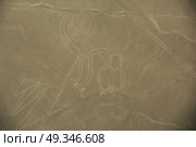 Nazca Lines, Aerial View, Peru, The Monkey. Стоковое фото, агентство Ingram Publishing / Фотобанк Лори