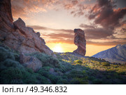 Echium wildpretii .Famous Finger Of God rock in Teide national park. Tenerife island - Canary, Spain. Стоковое фото, агентство Ingram Publishing / Фотобанк Лори