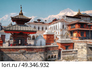 Freely walk monkey. Votive temples and shrines in a row at Pashupatinath Temple, Kathmandu, Nepal. Стоковое фото, агентство Ingram Publishing / Фотобанк Лори