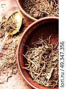 Valerian herb root. Traditional folk remedy from valerian roots in a mortar. Стоковое фото, агентство Ingram Publishing / Фотобанк Лори